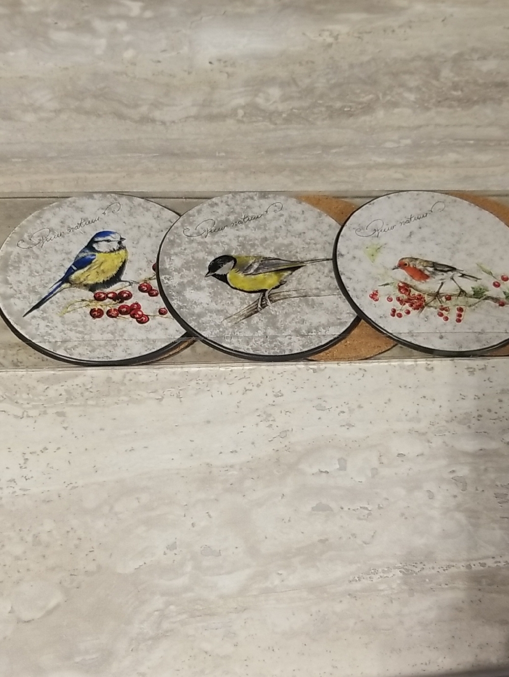 Beautiful Bird Coasters
